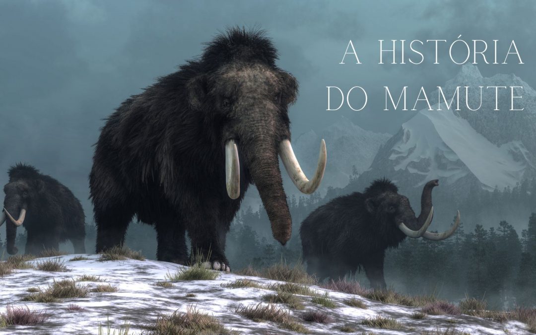 A História do Mamute