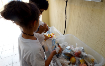 Parceria entre IRS e Zona Sul