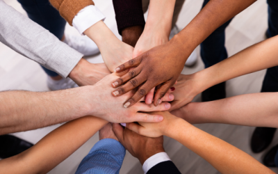 OS DIFERENTES TIPOS DE DIVERSIDADE